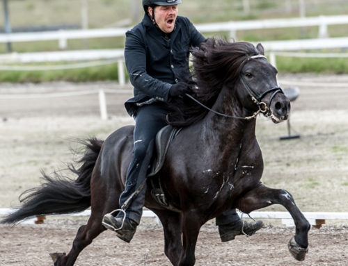 Wir züchten. Erfolgreich.