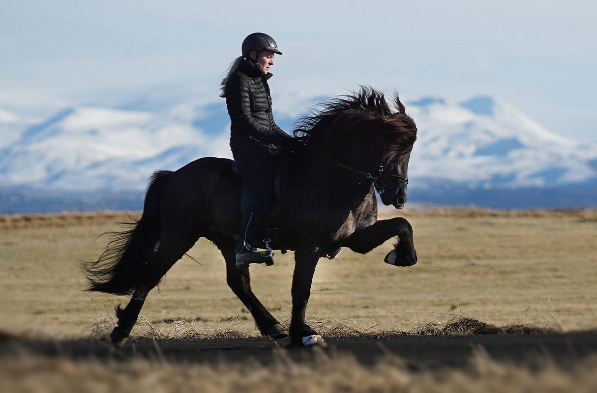 20210118-galerie-012