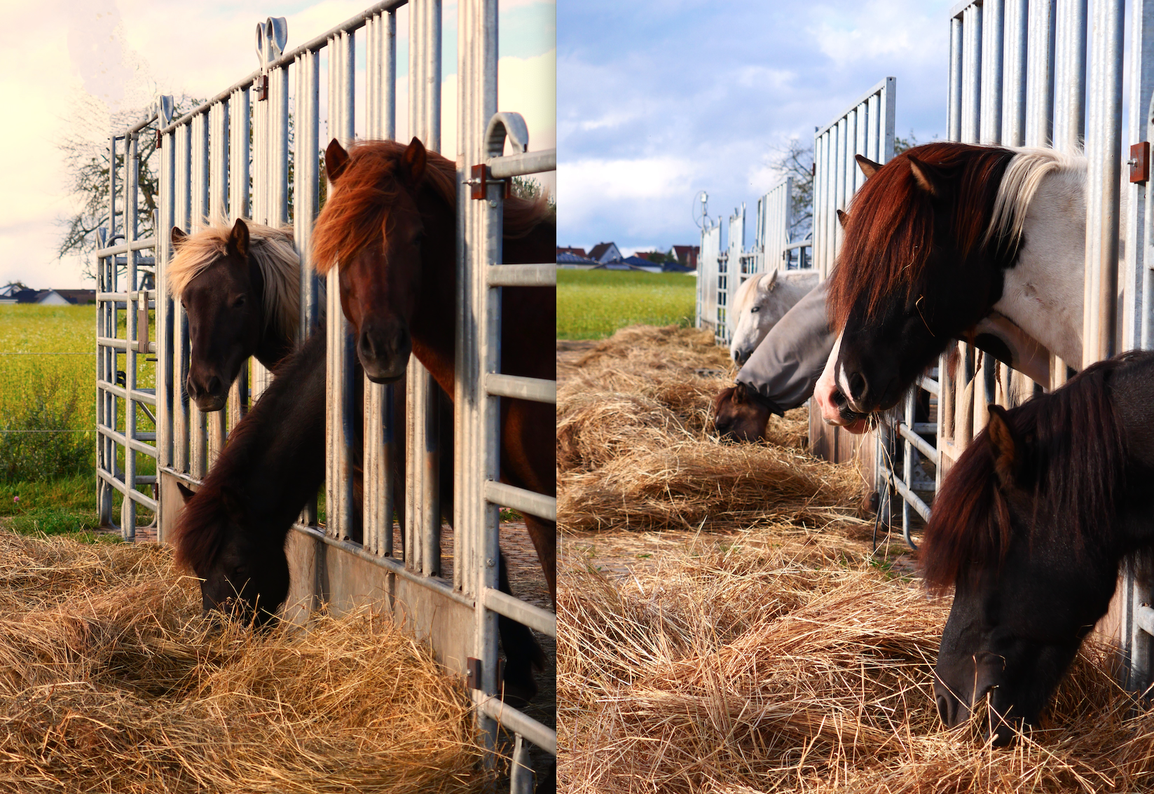 Bildschirmfoto 2024-02-27 um 16.56.45
