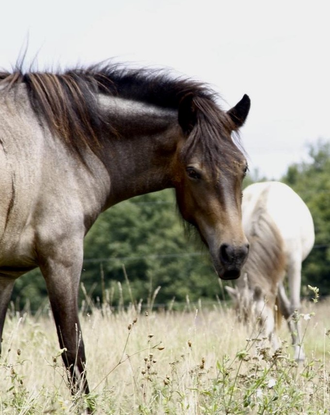 3ce32e06-42de-4ef3-a119-8a30cef3d0f9