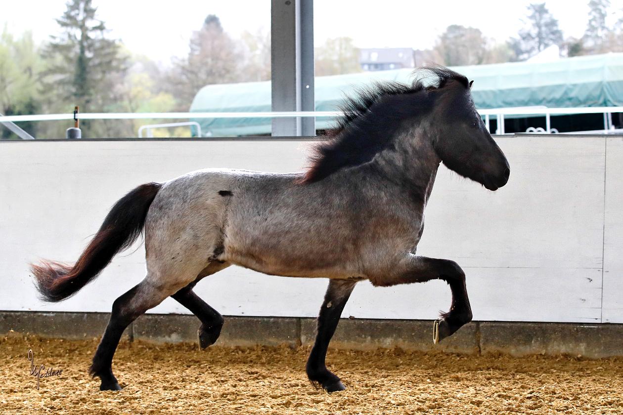 43084a56-1db4-4b82-8640-31abcfdaa677